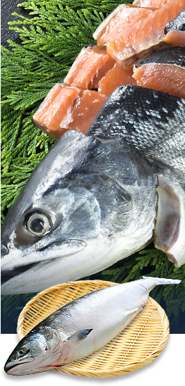 北海道の水産 鱗魚問屋